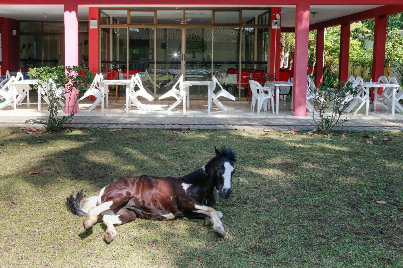 Indaia Praia Hotel ベルチオガ エクステリア 写真